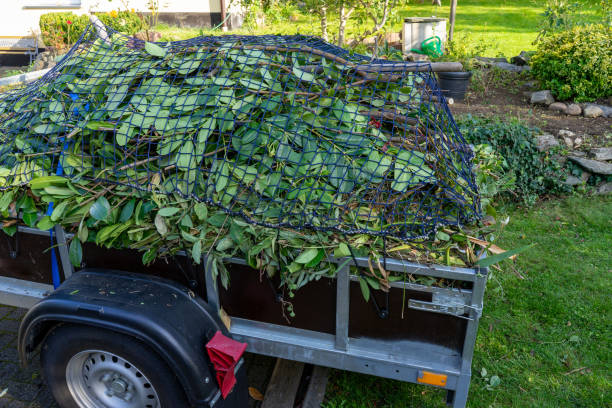 Best Shed Removal  in Fulton, IL